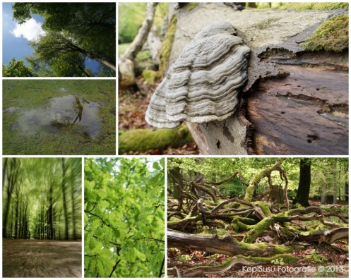 120513 Aardhuis Hoog Soeren_collage_2