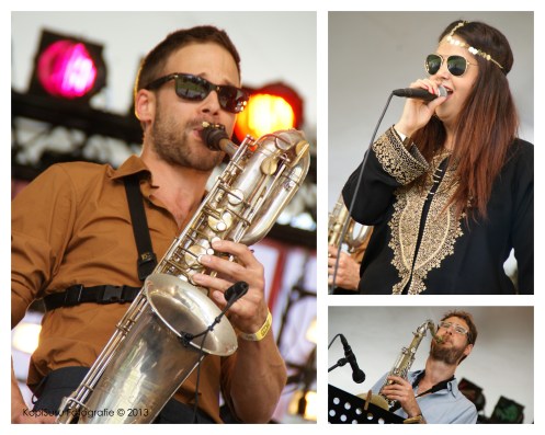 Roots Festival_Va Fan Fahre_fotocollage_A