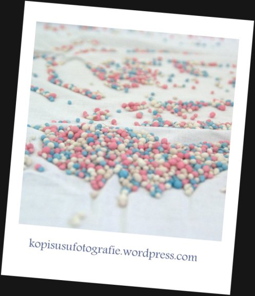 DSC02291_A_def_gecomprimeerd